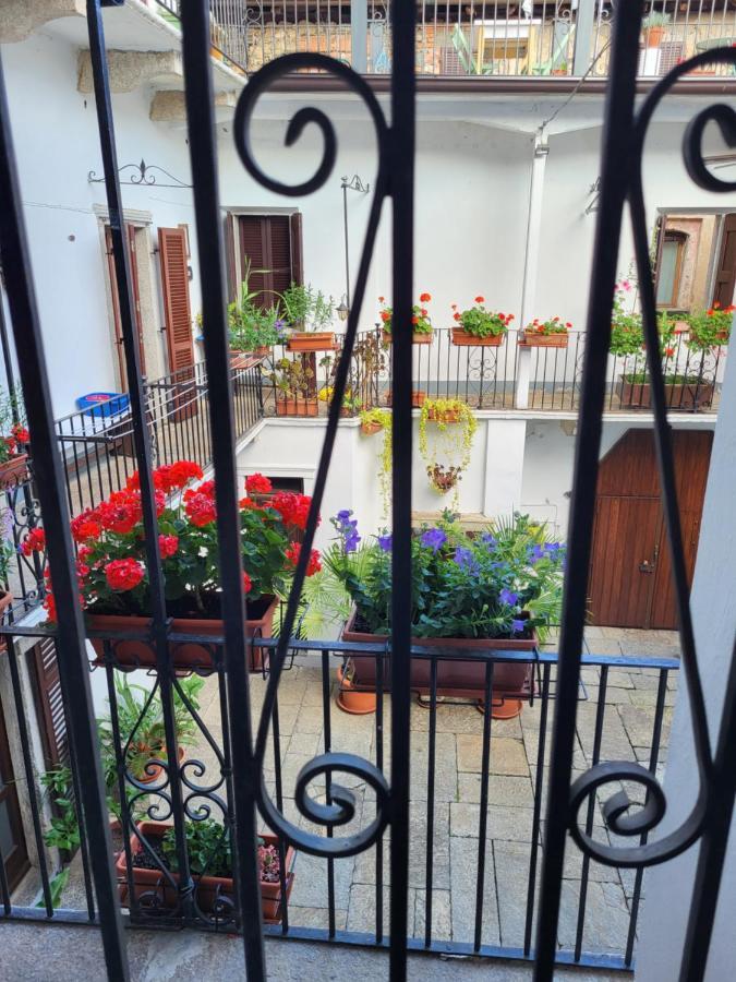 Apartment Casa Onorina, Relax E Tranquillita Sul D'orta *